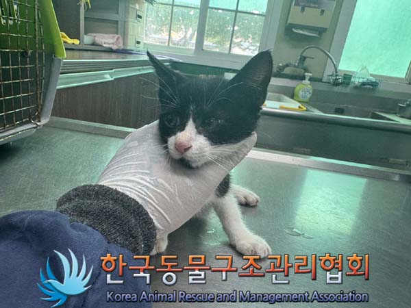 종료(자연사) 한국…